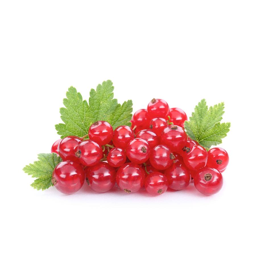 Entdecke diese Ribiseln und 80 weitere Obst und Gemüse Sorten aus Österreich in deinem Lidl